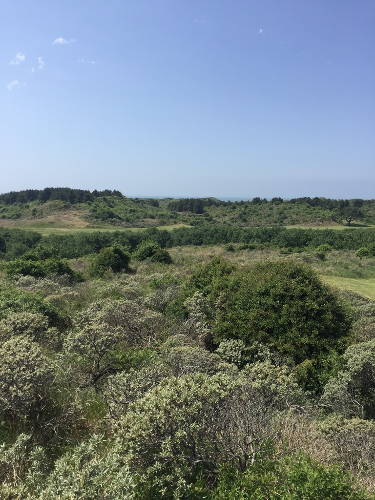 UNADJUSTEDNONRAW_thumb_134ff